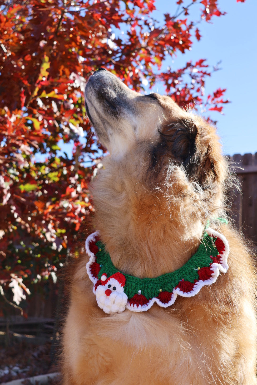 Handmade Knitted Pet Collar - Santa's Elegance