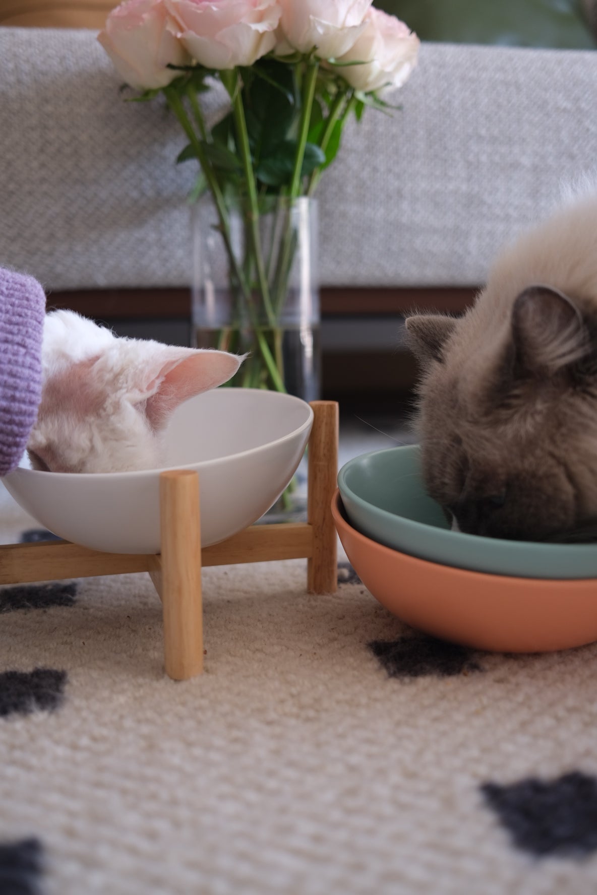 Bun's Tilted Pet Bowl - Solo Arch (Pearl Essence)