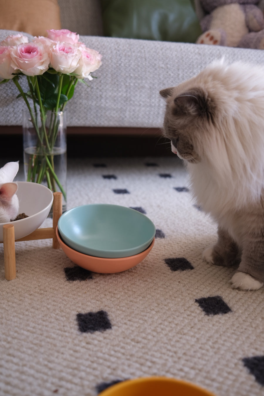 Bun's Tilted Pet Bowl (Ocean Mist)