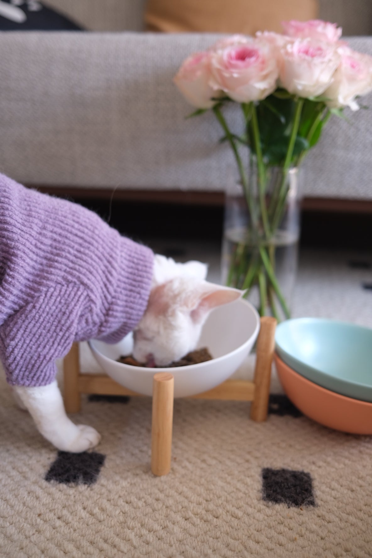 Bun's Tilted Pet Bowl - Solo Arch (Ocean Mist)