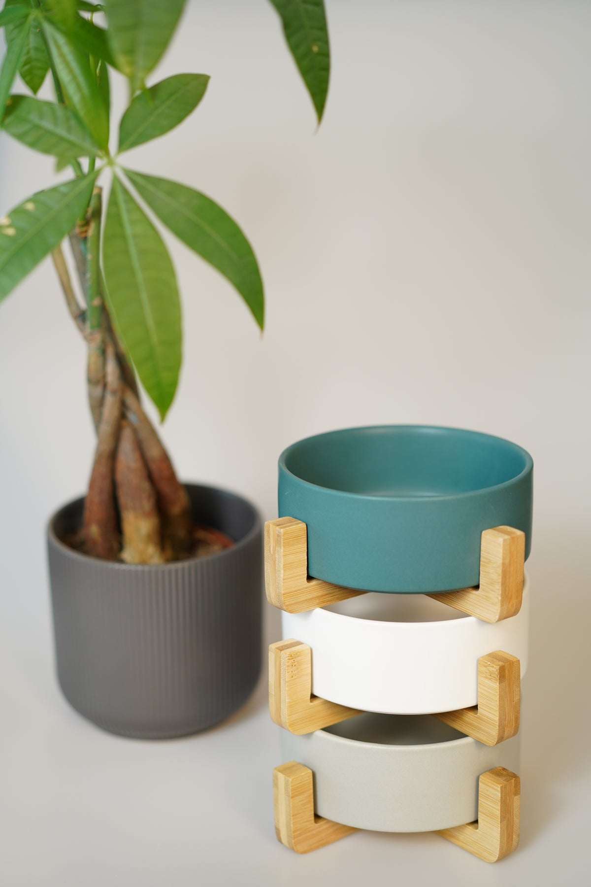 Sophie's Classic Pet Bowl - Bamboo Embrace (Milk White)