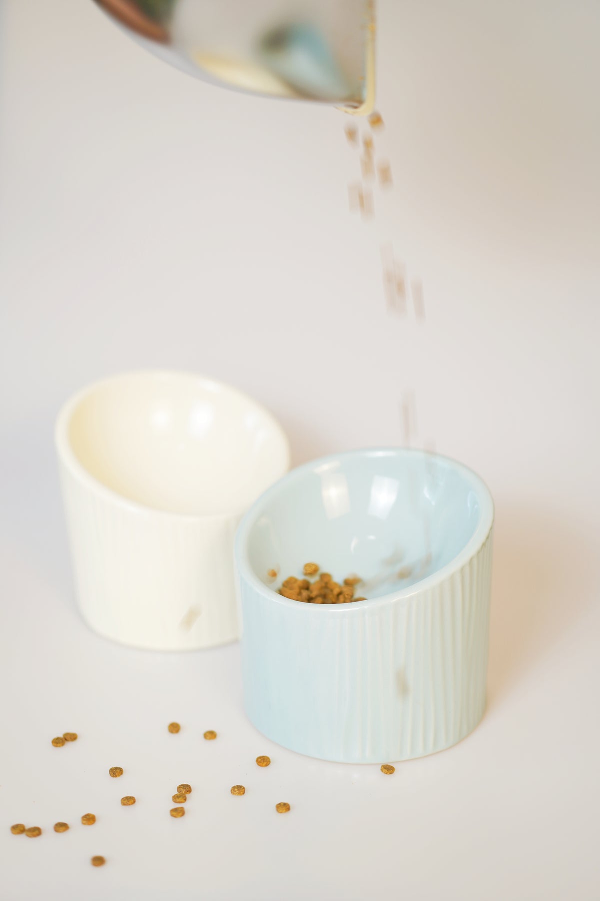 Aura Pet Bowl (Mint)