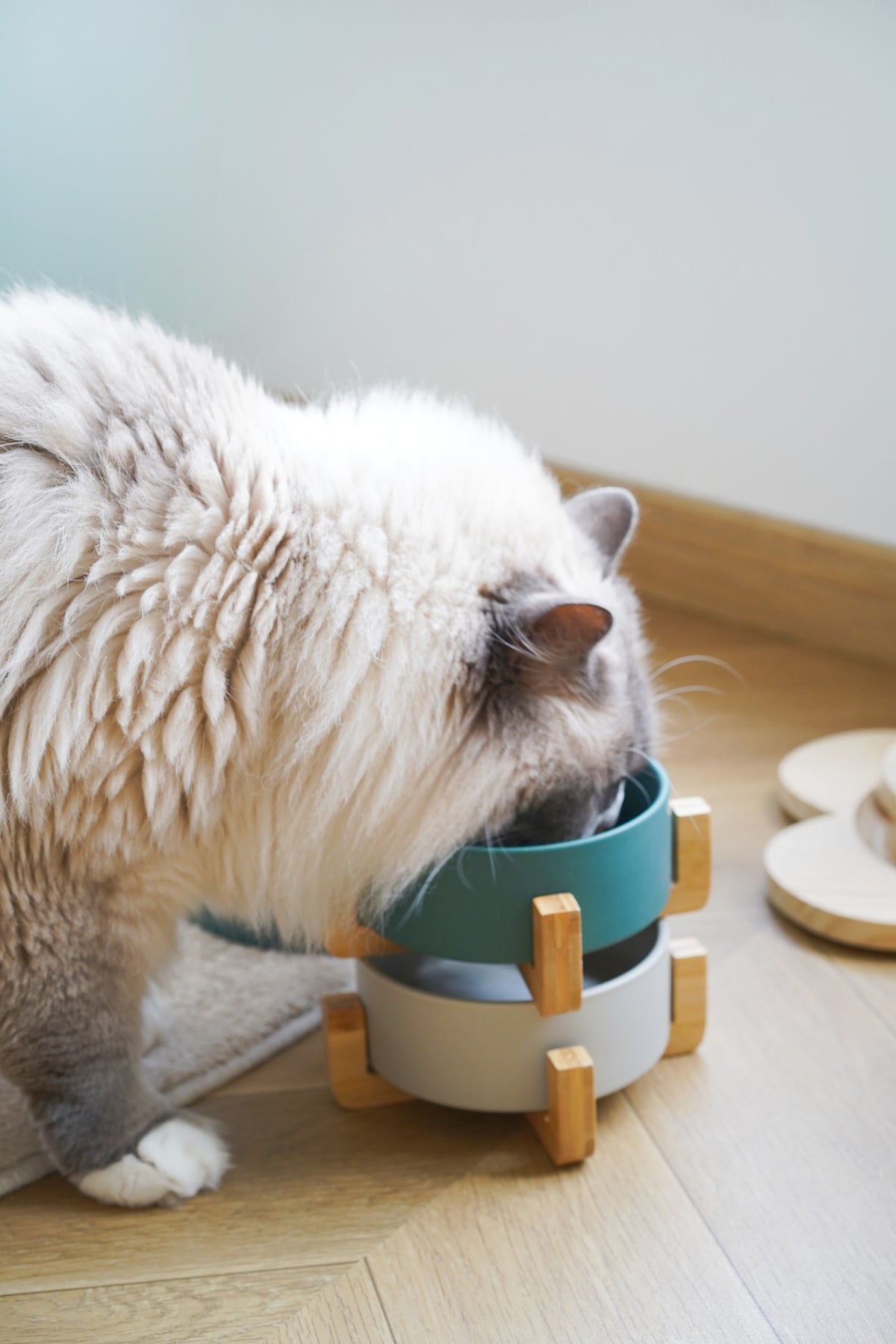 Sophie's Classic Pet Bowl - Bamboo Embrace (Pebble Gray)