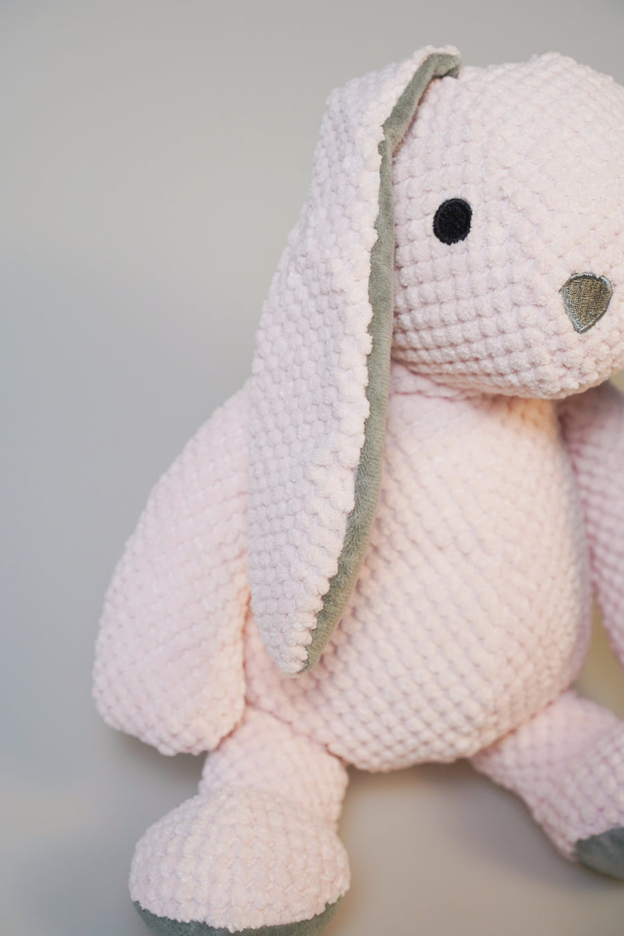 Julia the Courageous Bunny