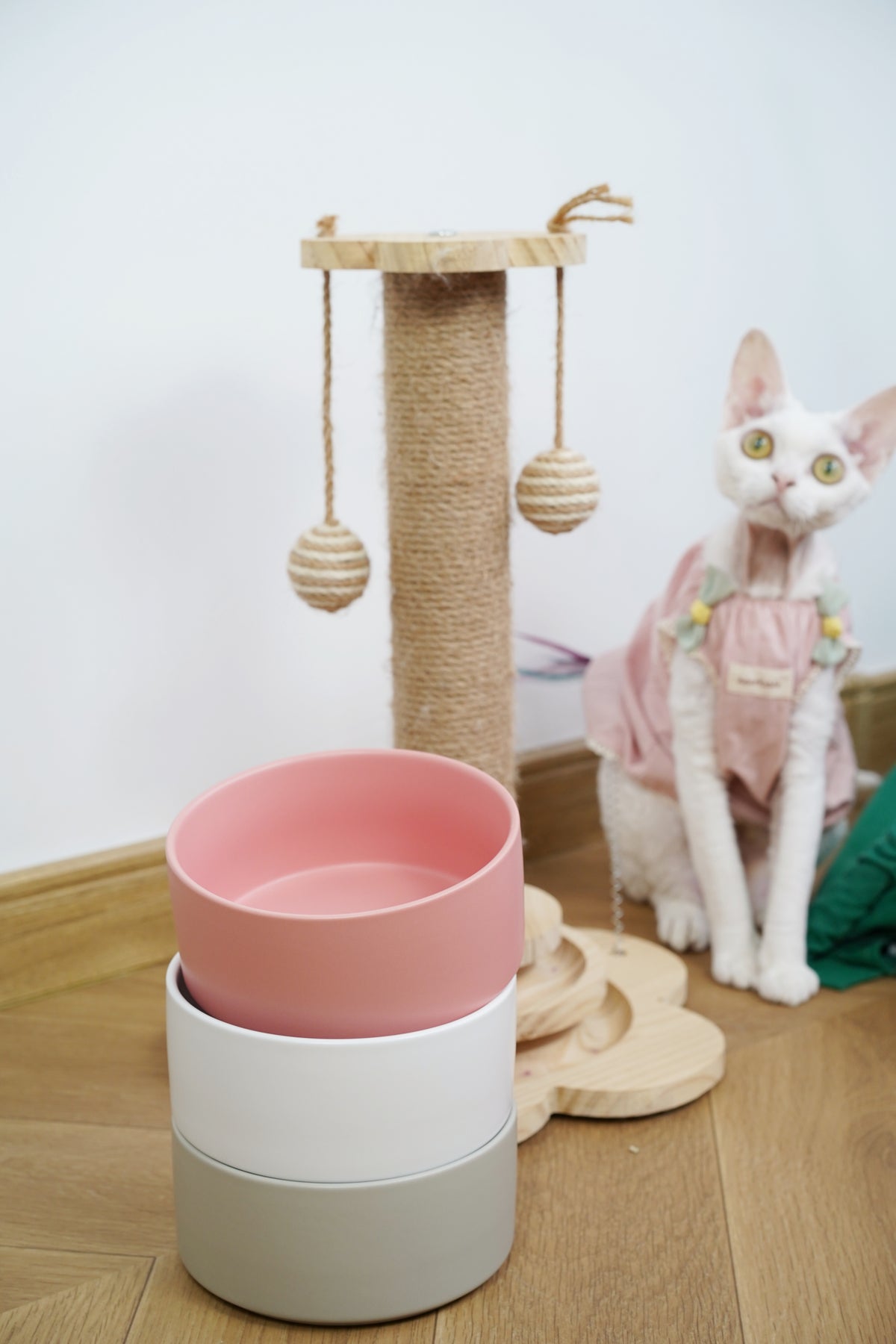 Sophie's Classic Pet Bowl - TimberBase (Milk White)