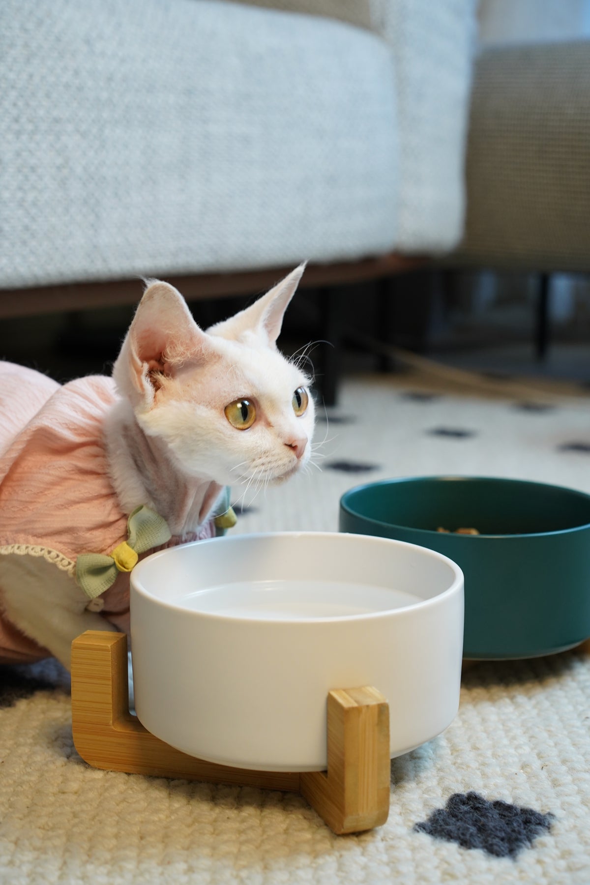 Sophie's Classic Pet Bowl - Bamboo Embrace (Milk White)