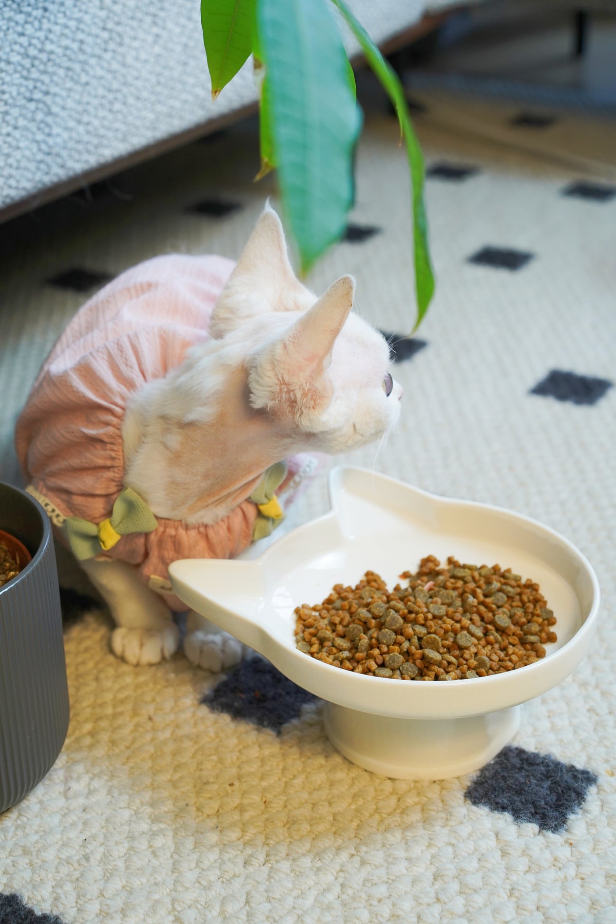 Whisker Haven - Chic Cat Bowl