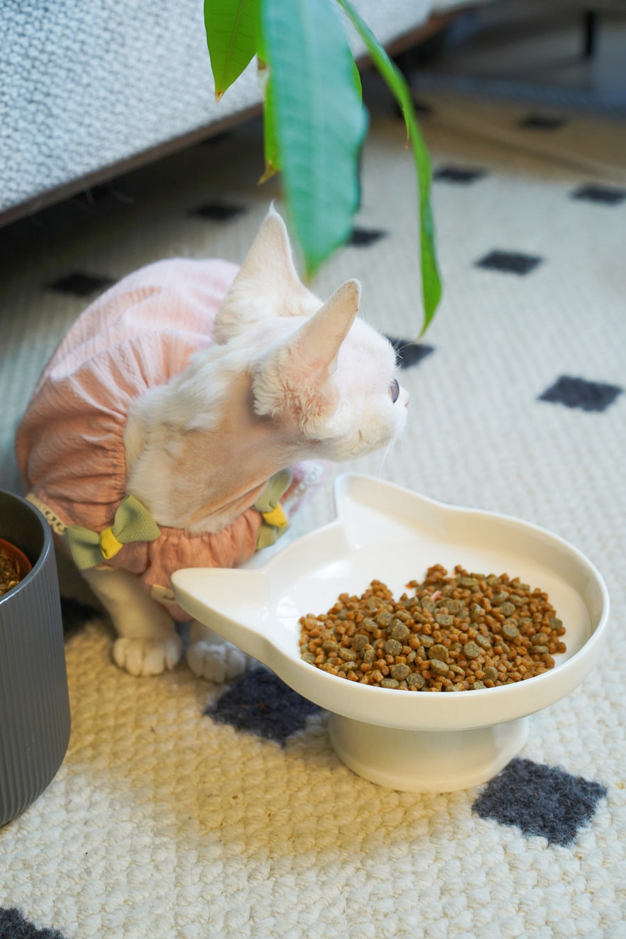 Whisker Haven - Chic Cat Bowl