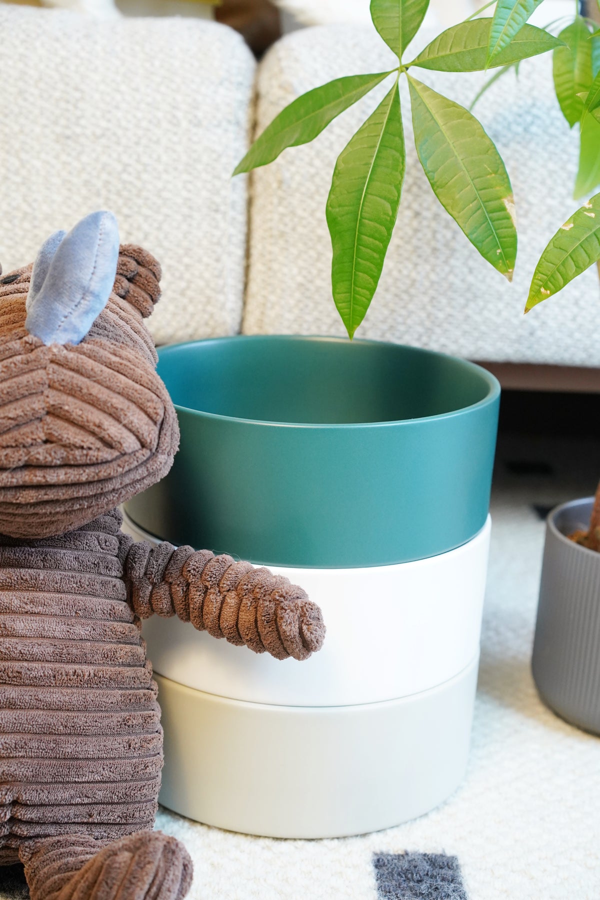 Sophie's Classic Pet Bowl - TimberBase (Forest Green)