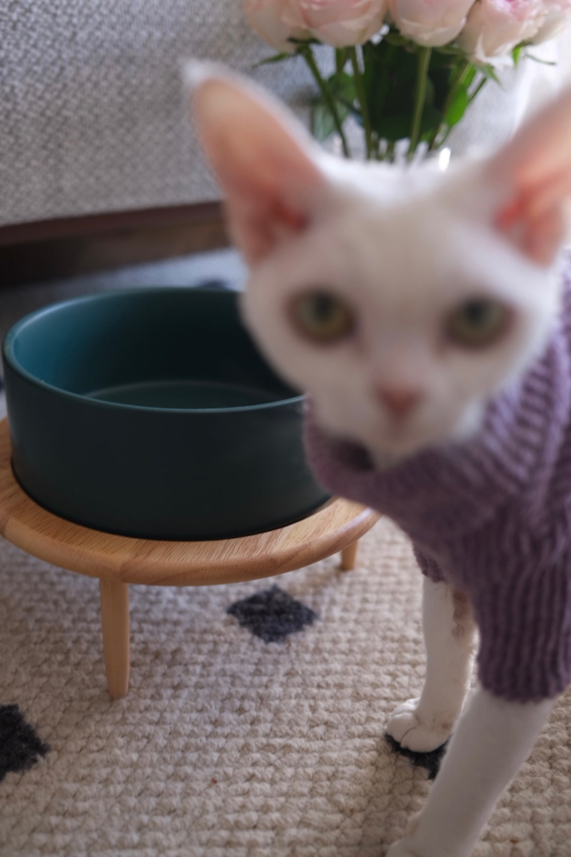 Sophie's Classic Pet Bowl - Tripod Haven (Pebble Gray)