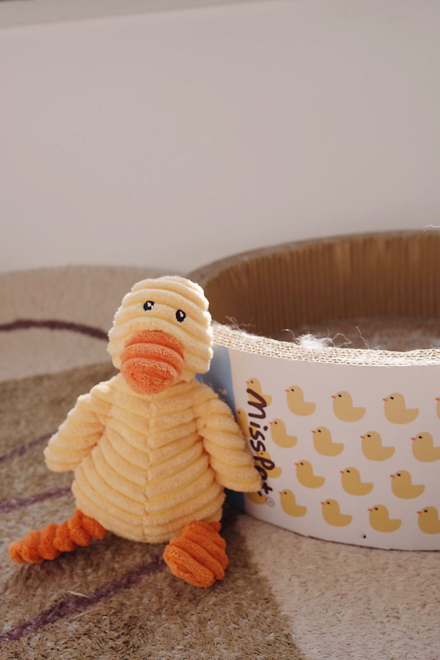 Cici the Clever Duck
